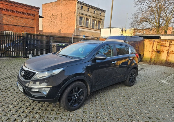 Kia Sportage cena 49850 przebieg: 254000, rok produkcji 2014 z Bydgoszcz małe 172